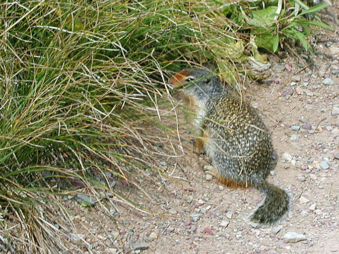 P8220002 copy