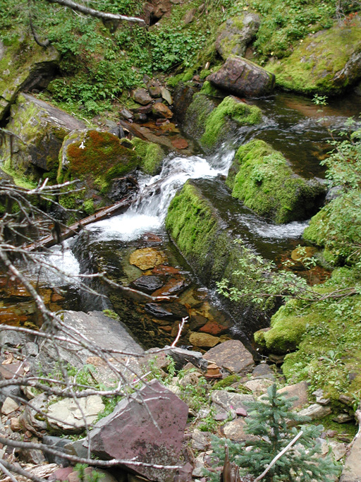 P8230004 copy