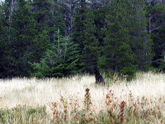P8240013 copy