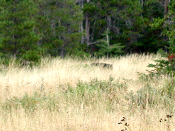 P8240014 copy