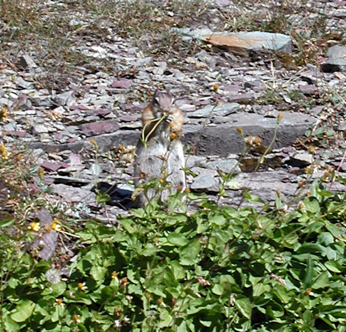 P8270011 copy