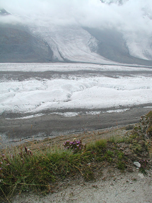 P9060009