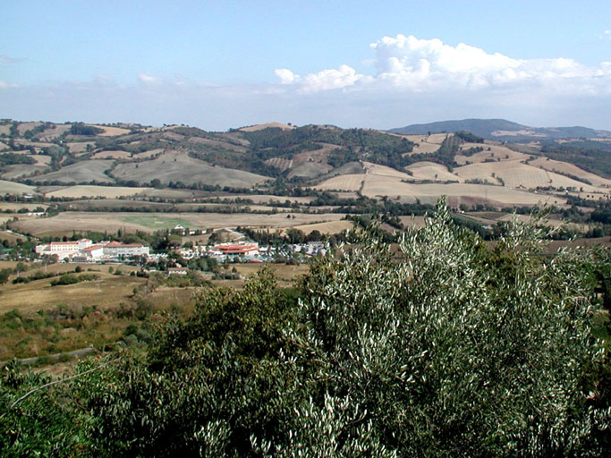 P9060039