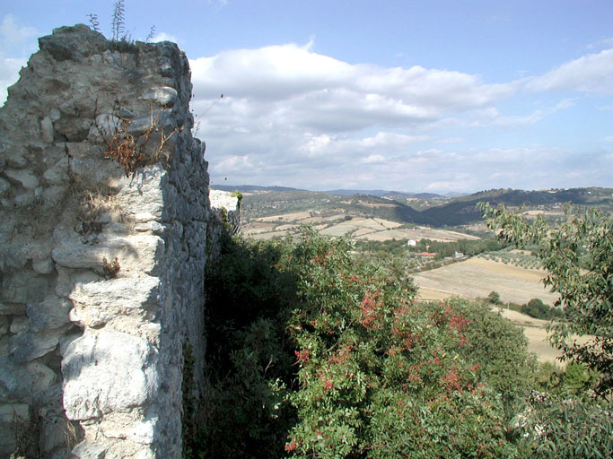 P9060040