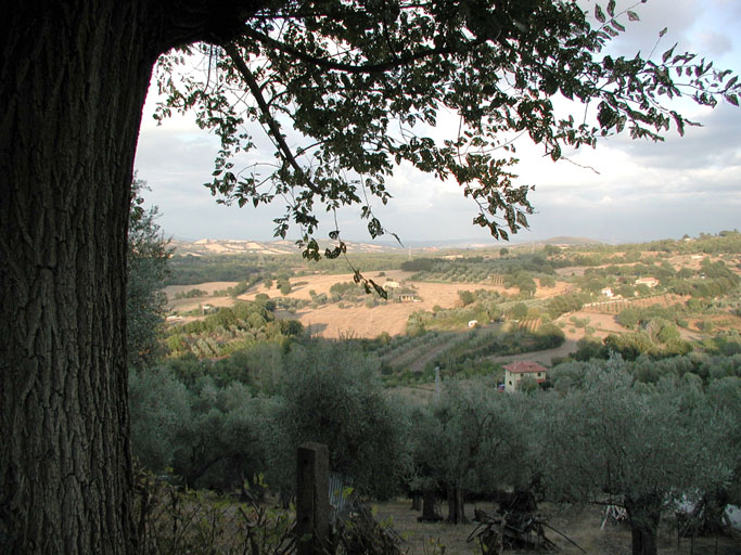 P9060042